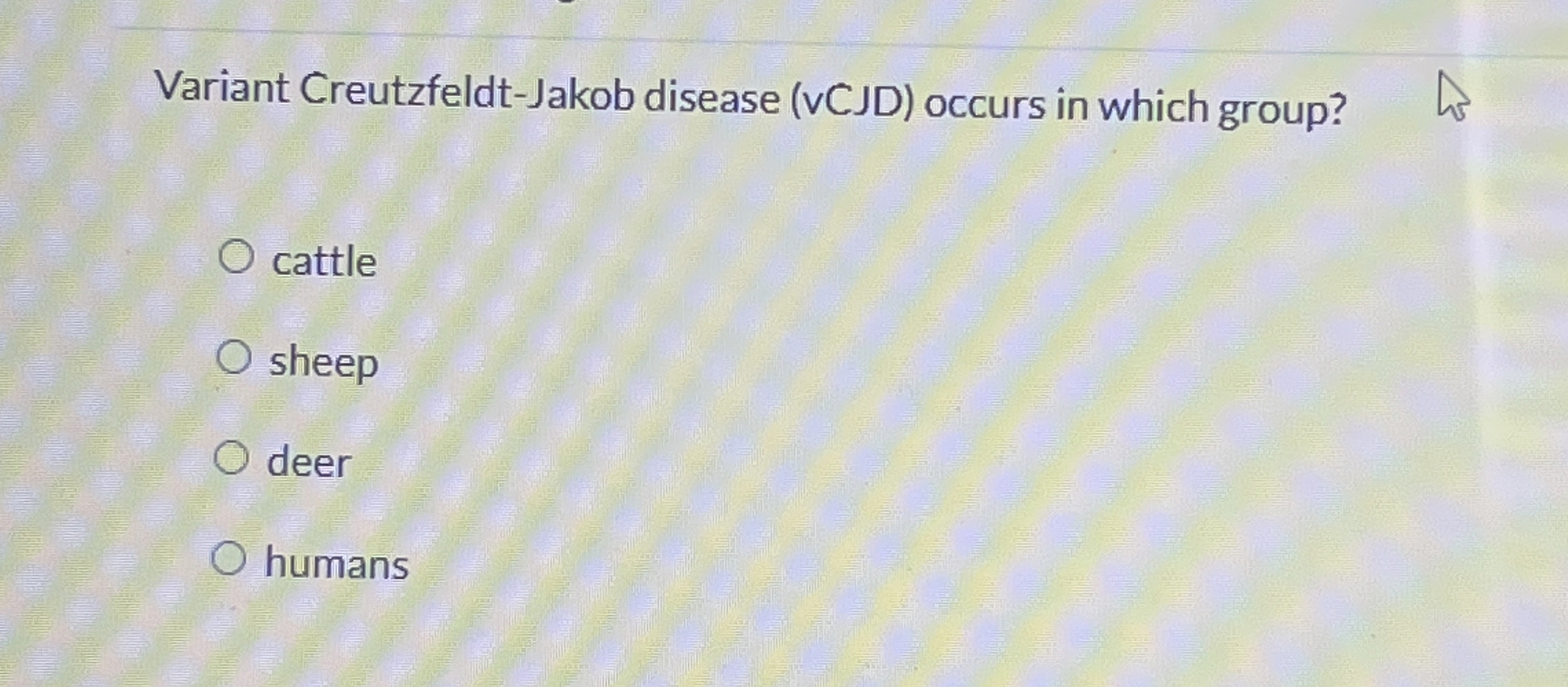 Solved Variant Creutzfeldt-Jakob disease (vCJD) ﻿occurs in | Chegg.com