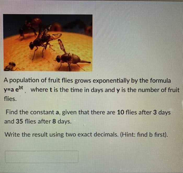 Picture of Solved A population of fruit flies grows exponentially by | Chegg.com