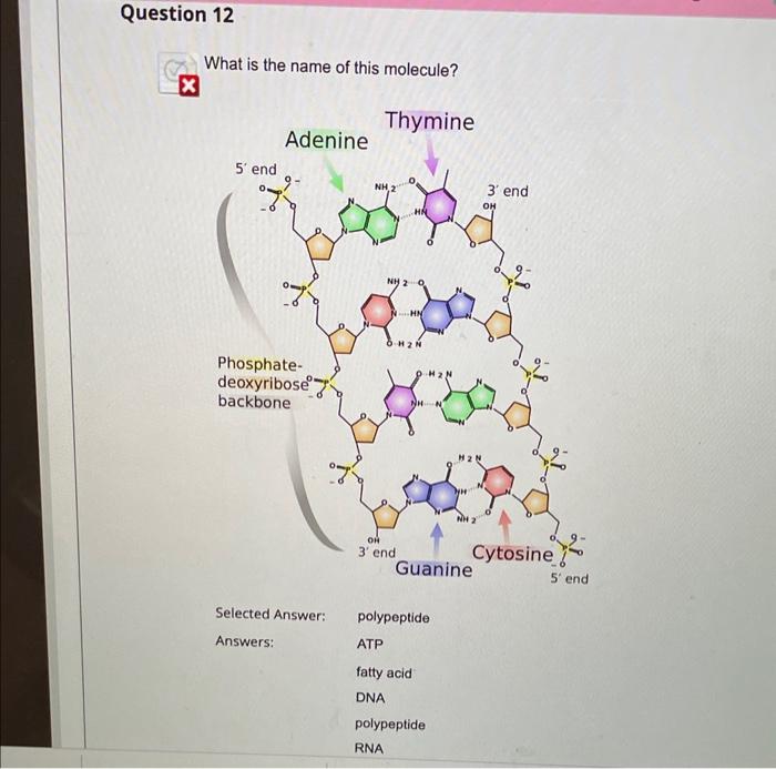 Solved Question 3 1,39285 out of 1.5 points Match each of | Chegg.com