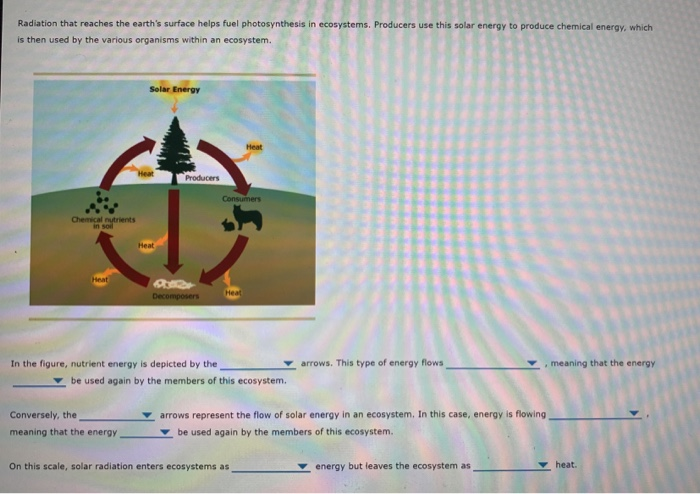 Solved Environmental Science The blanks have multiple choice | Chegg.com