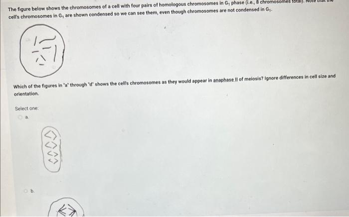 Solved The figure below shows the chromosomes of a cell with | Chegg.com