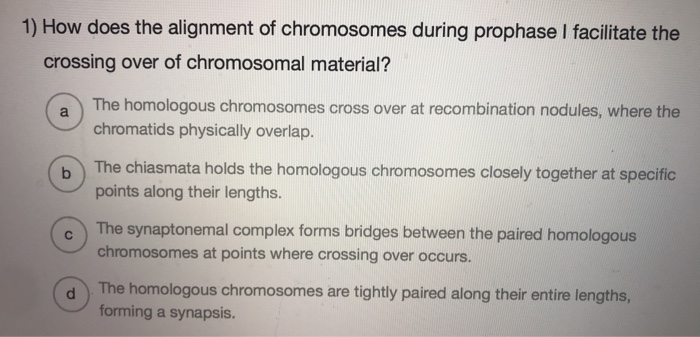 Solved 1) How does the alignment of chromosomes during Biology Diagrams