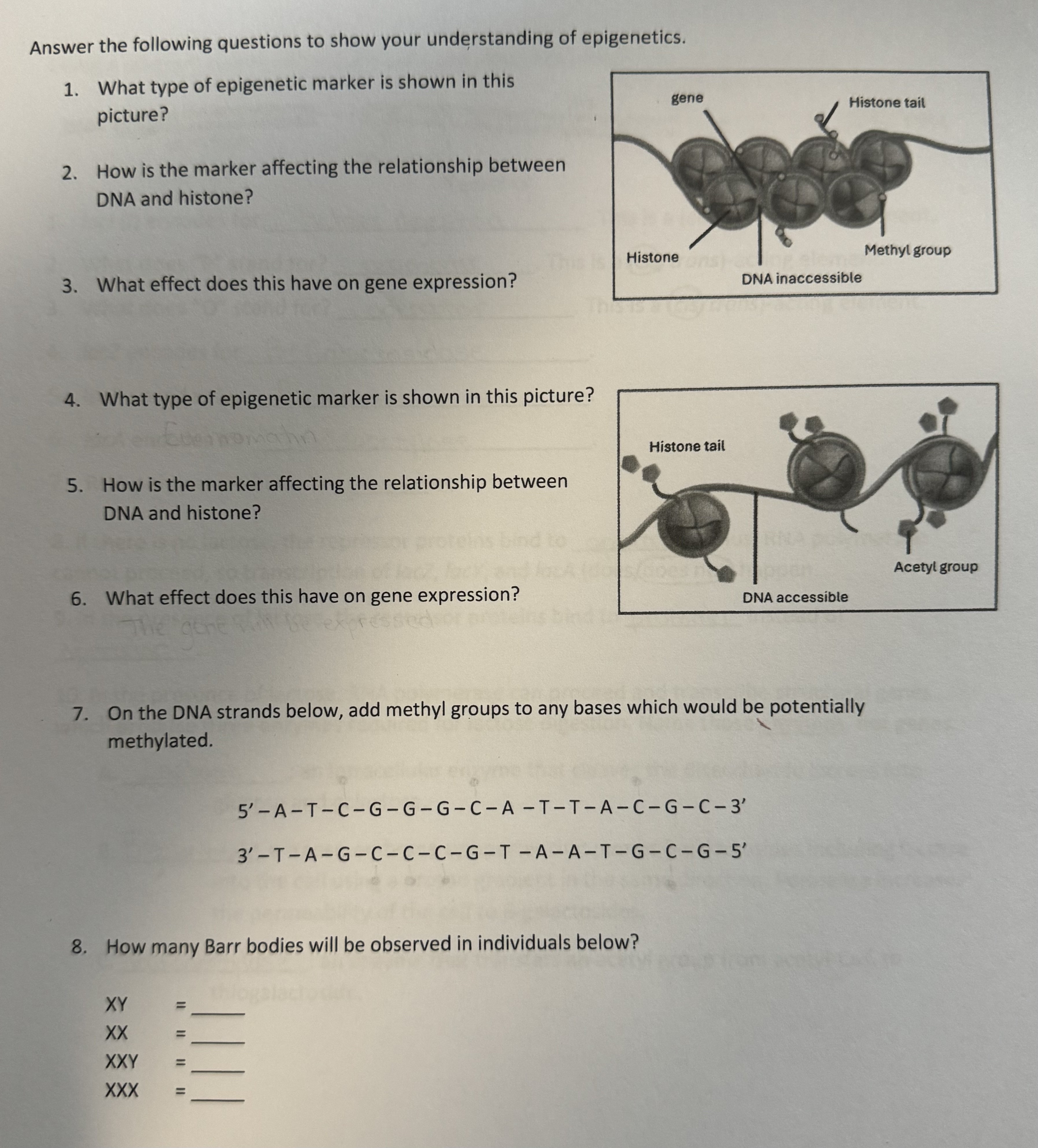 Solved Please answer questions 1-8.Questions 1-3 ﻿go with | Chegg.com