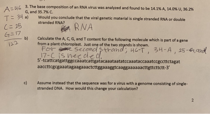 Solved Can Someone Please Help With This Genetics DNA | Chegg.com