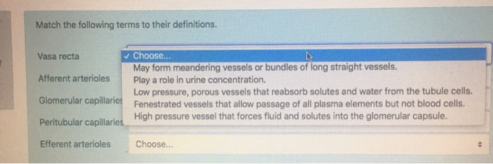Solved Match The Following Terms To Their Definitions. Va