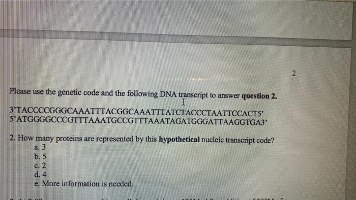 Solved 2 Please use the genetic code and the following DNA | Chegg.com