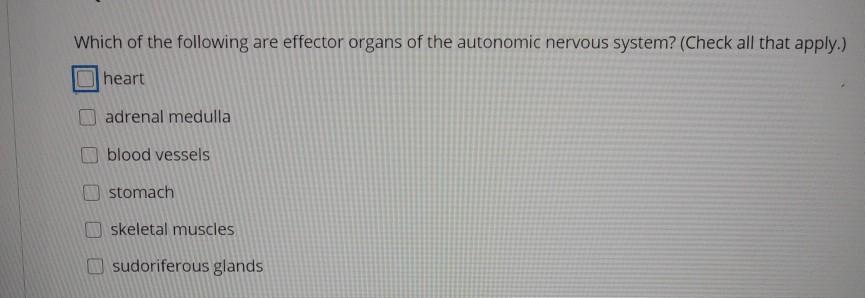 Solved Which Of The Following Are Effector Organs Of The Chegg