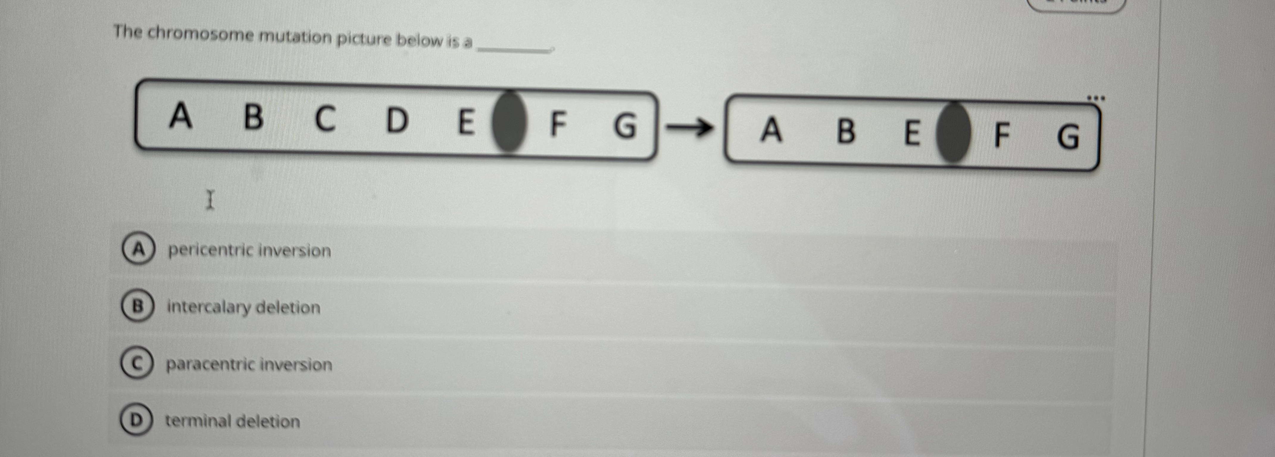 Solved The chromosome mutation picture below is | Chegg.com