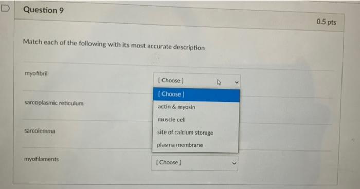 Solved 3 Question 1 0.5 pts Match each of the following type | Chegg.com