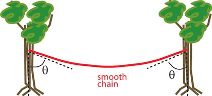 Hanging Chain Math Problem Solved The figure shows a chain hanging from two trees. The | Chegg.com