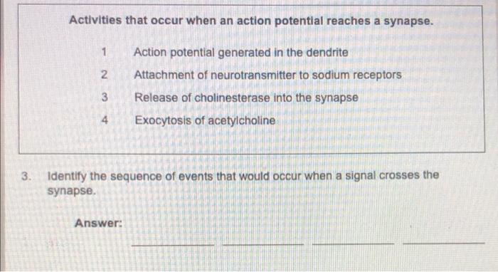 what happens when an action potential reaches a chemical synapse