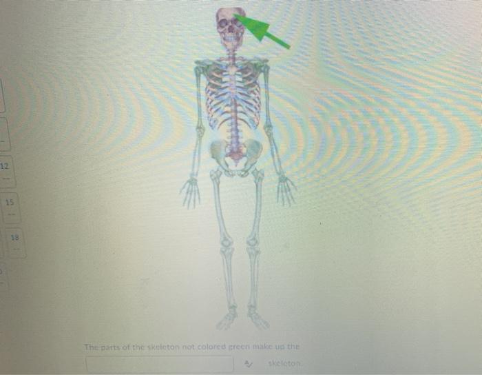 Solved Question 11 (0.1 points) A short sharp projection of | Chegg.com