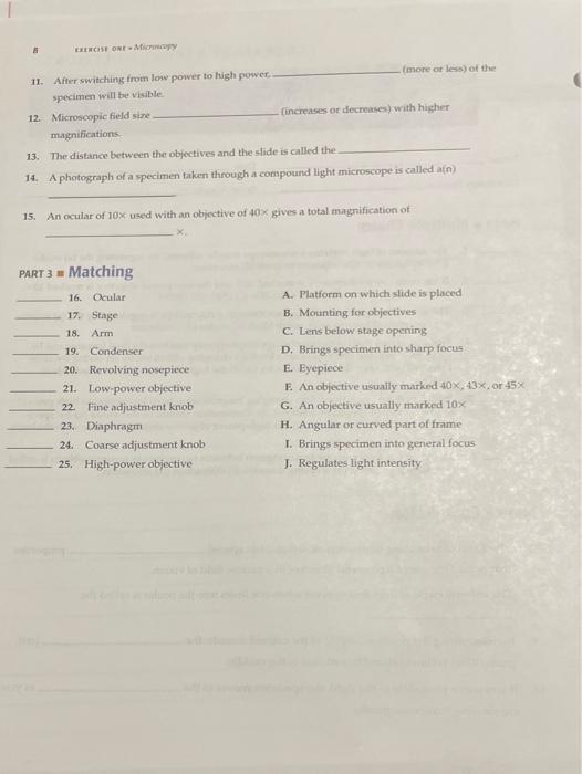 Solved LABORATORY REPORT QUESTIONS EXERCISE 1 Microscopy