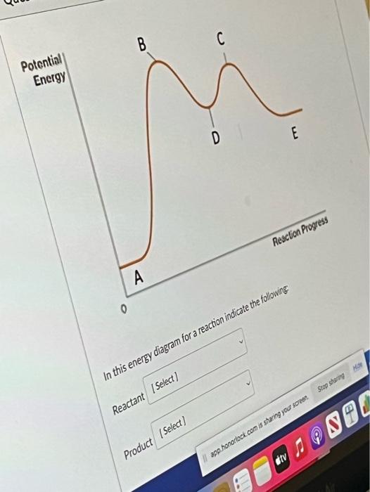 Solved Potential Energy | Chegg.com