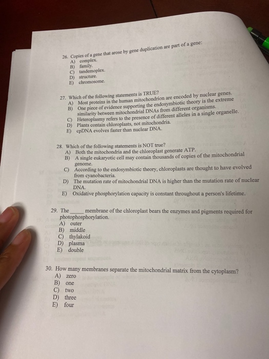 Solved 26 Copies Of A Gene That Arose By Gene Duplication Chegg Com