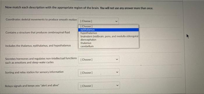 Solved Now match each description with the appropriate | Chegg.com