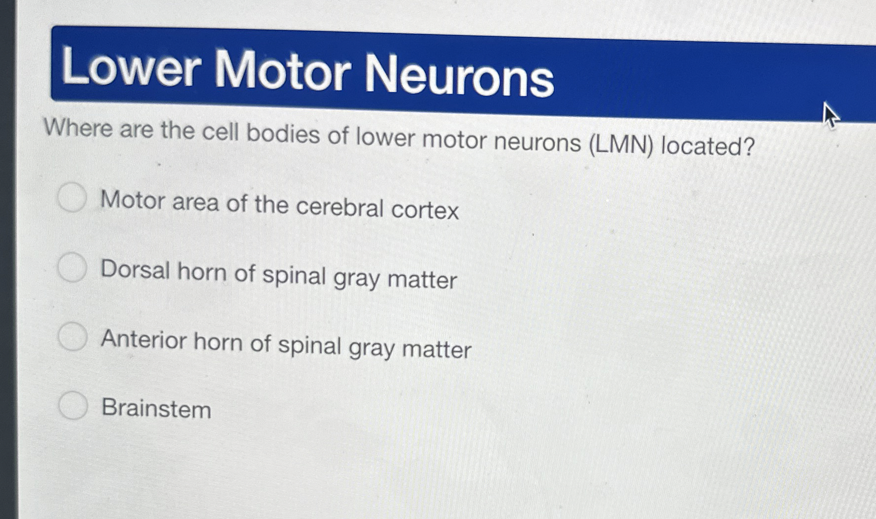 Solved Lower Motor NeuronsWhere are the cell bodies of lower | Chegg.com