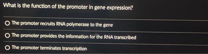 gene promoter experiment