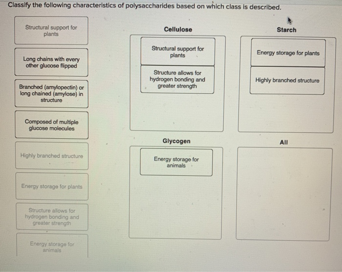 Solved Classify The Following Characteristics Of | Chegg.com