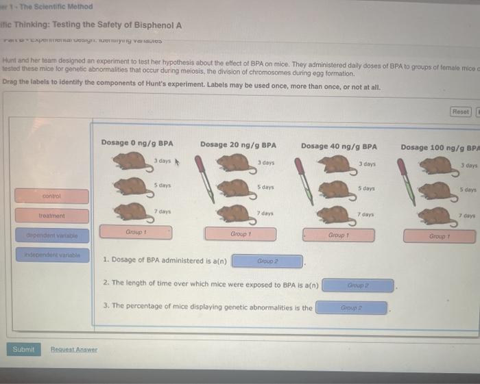 Solved 1 The Scientific Method Itie Thinking Testing The Chegg