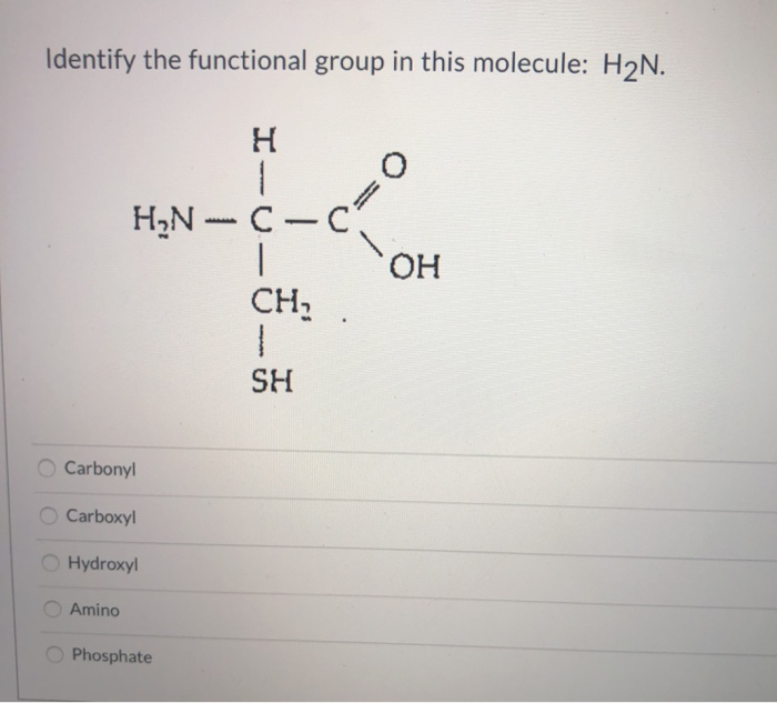 Solved Identify The Functional Group In This Molecule H2N Chegg