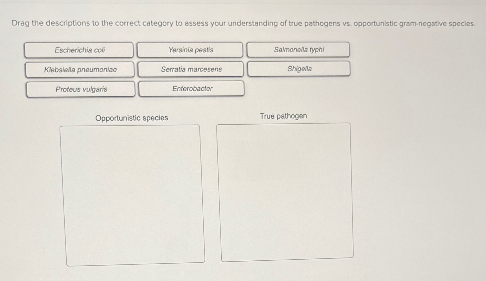Solved Drag the descriptions to the correct category to | Chegg.com