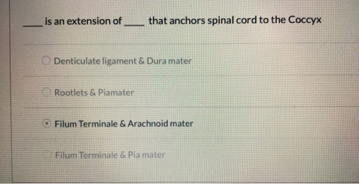 Solved From deep to superficial, what is the correct order | Chegg.com