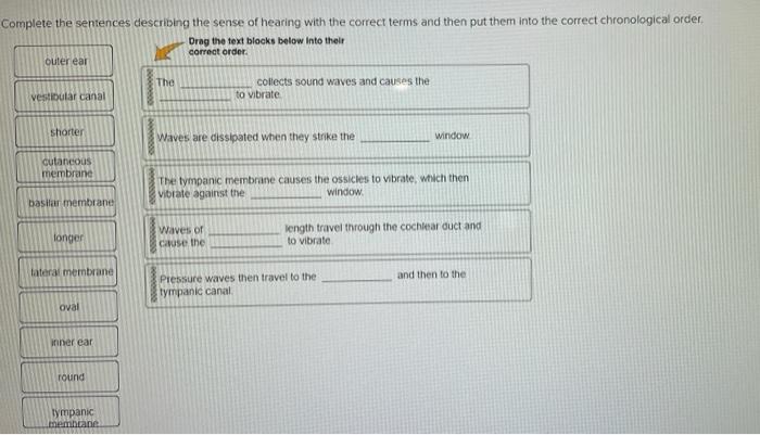 Solved Complete the sentences describing the sense of | Chegg.com