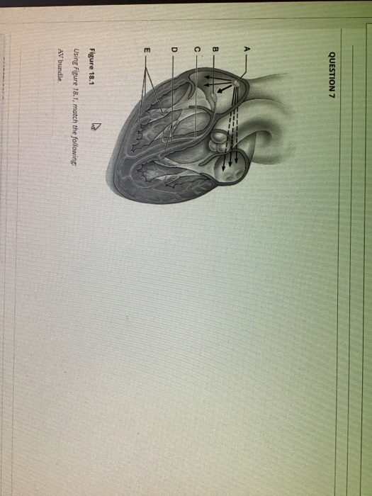 solved-question-7-b-d-e-figure-18-1-using-figure-18-1-chegg