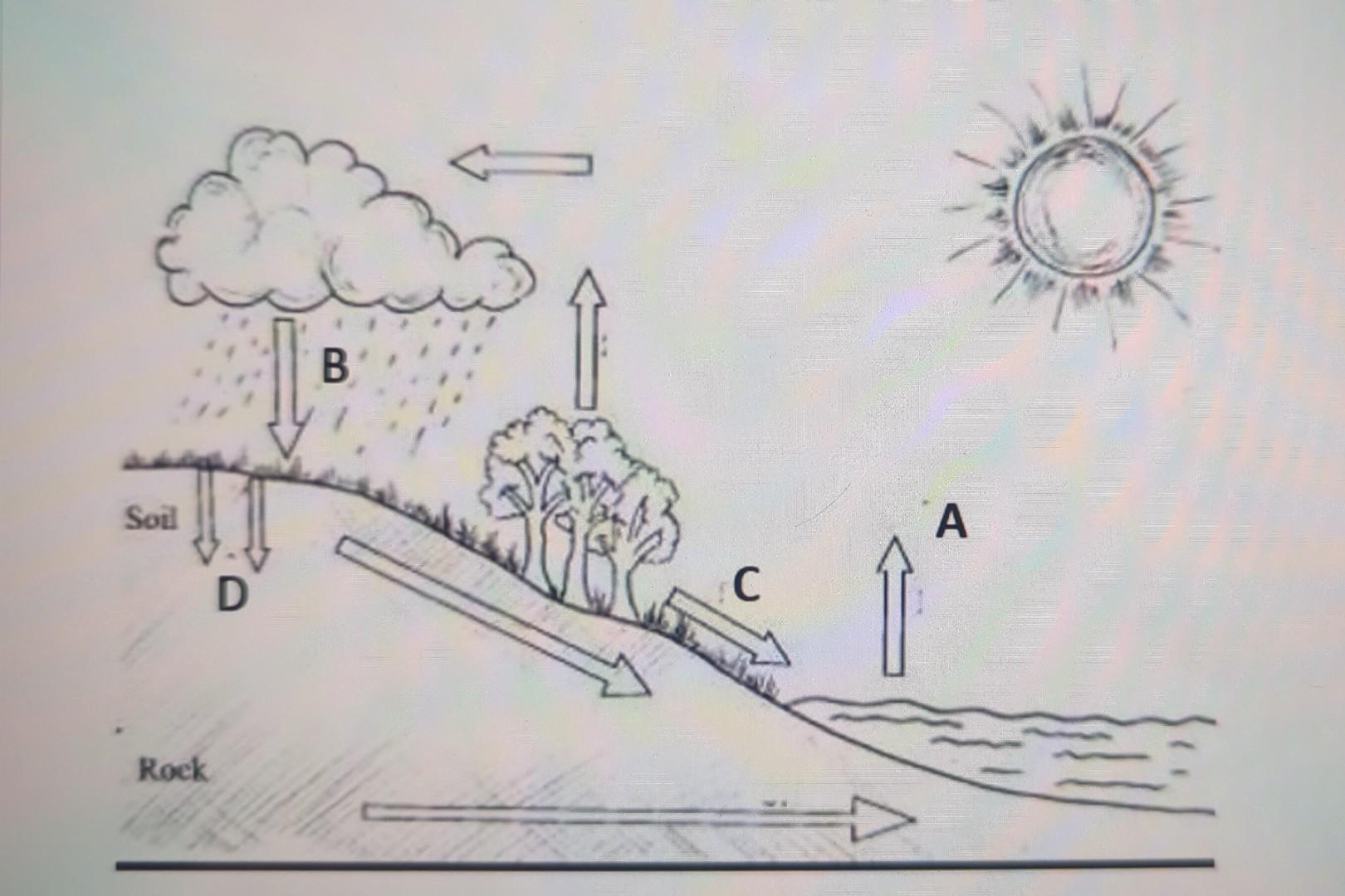 How to draw Water Cycle | School project drawing | Art - YouTube