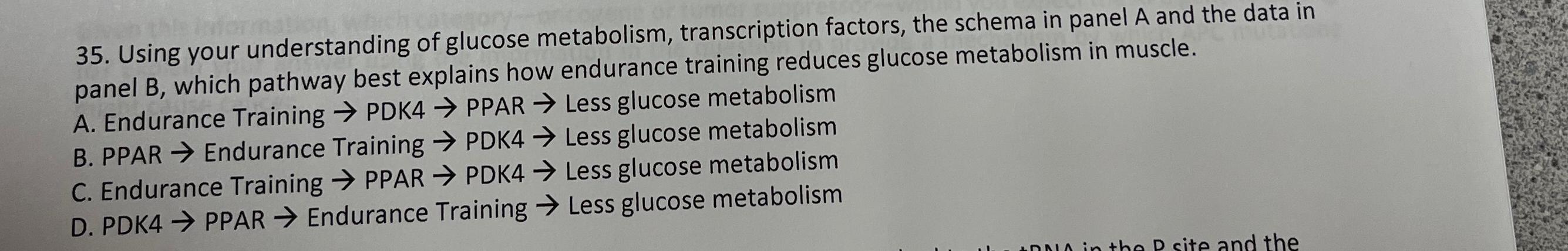 Solved Using your understanding of glucose metabolism, | Chegg.com