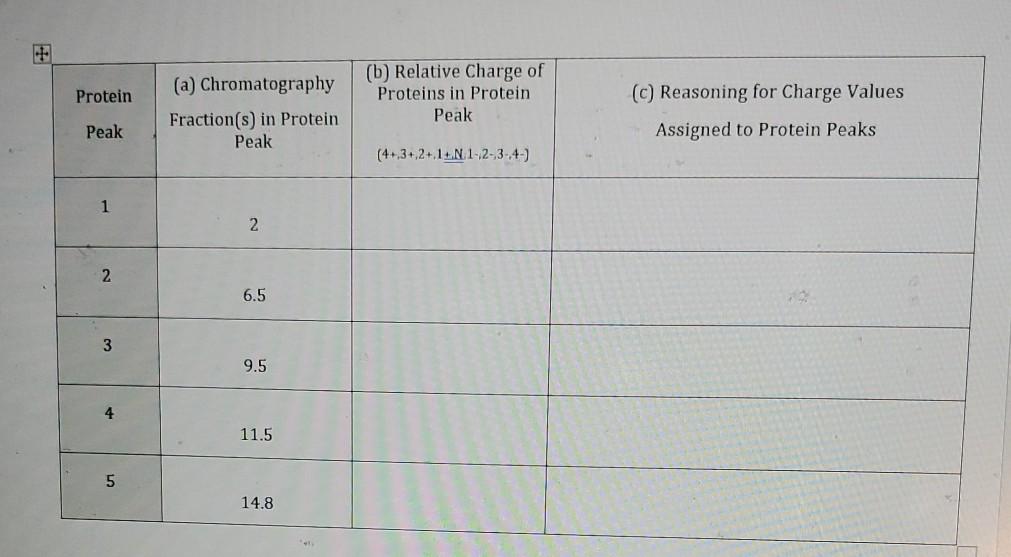 Solved Protein (b) Relative Charge of Proteins in Protein | Chegg.com