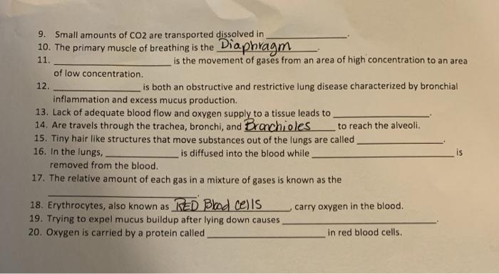 9. Small amounts of CO2 are transported dissolved in 10. The primary muscle of breathing is the Diaphragm 11. is the movement