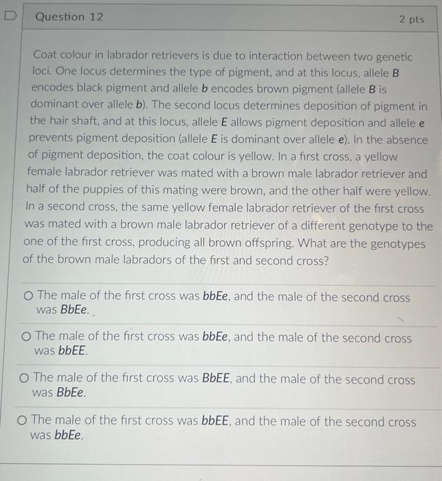 Solved Coat Colour In Labrador Retrievers Is Due To | Chegg.com