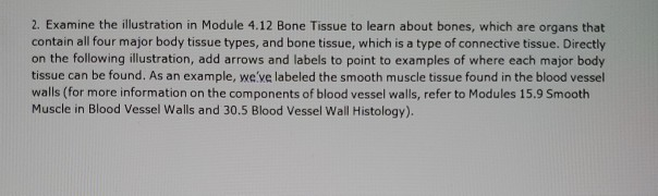 2. Examine the illustration in Module 4.12 Bone | Chegg.com