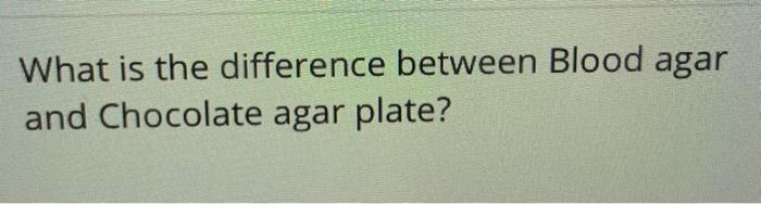 What is the difference between Blood agar and Chocolate agar plate?
