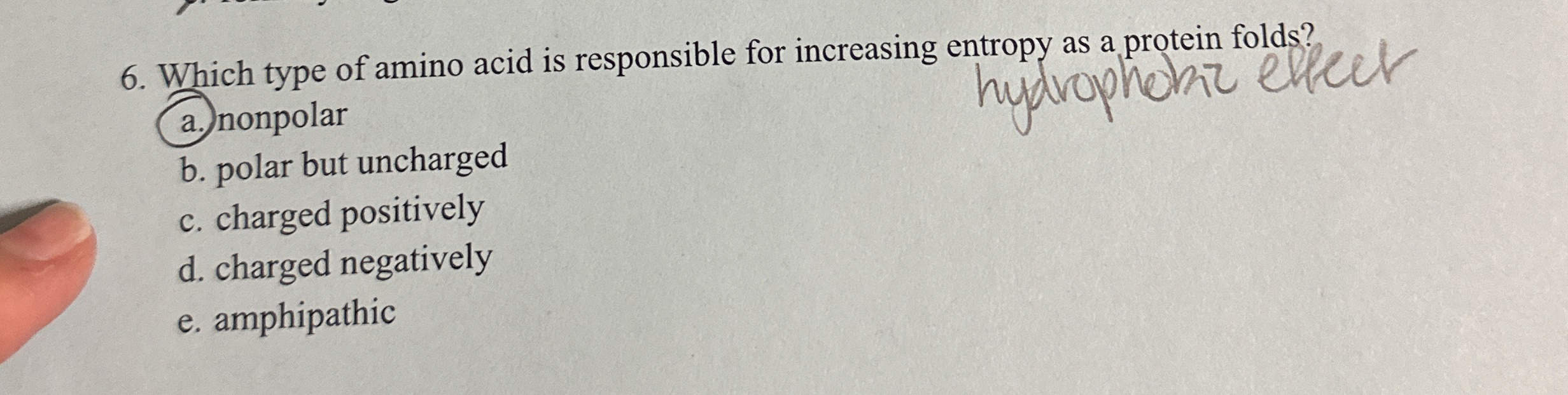 Solved Which type of amino acid is responsible for