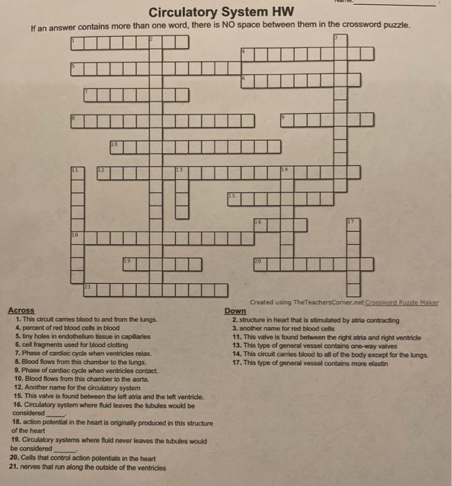 Circulatory System Hw If An Answer Contains More Than Chegg Com