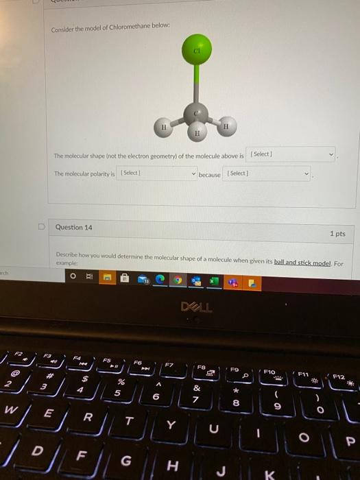 Solved 1 pts Question 14 Describe how you would determine | Chegg.com