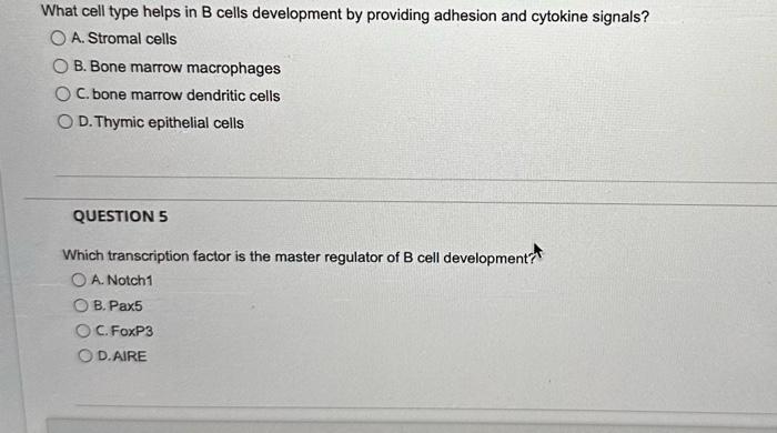 Solved What cell type helps in B cells development by | Chegg.com