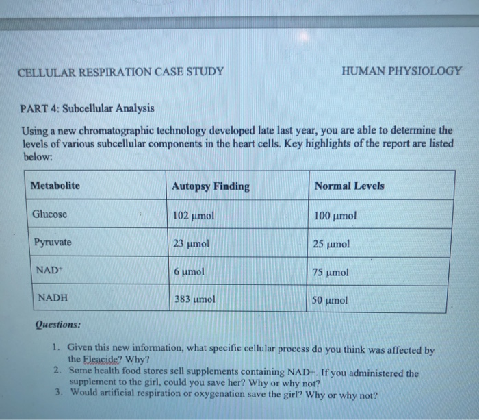 Cellular respiration stages in order image