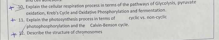 Solved + 10. Explain the cellular respiration process in | Chegg.com