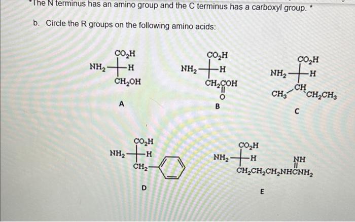 Solved i dont know what R groups are. could you please | Chegg.com