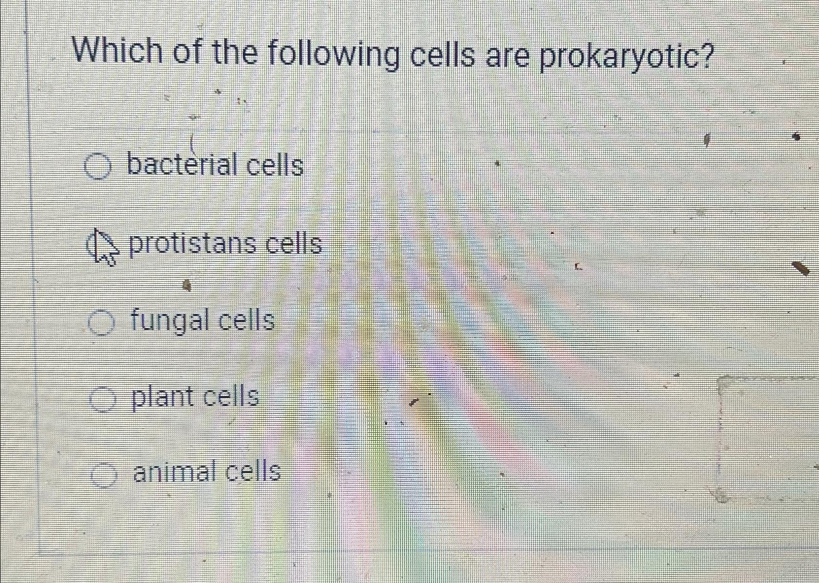 which of the following is not found in bacterial prokaryotic cells