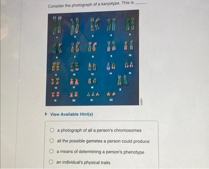 Solved Consider the photograph of a karyotype. This is }} | Chegg.com