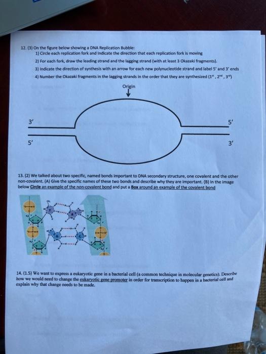 Solved 12. (3) On the figure below showing a DNA Replication | Chegg.com