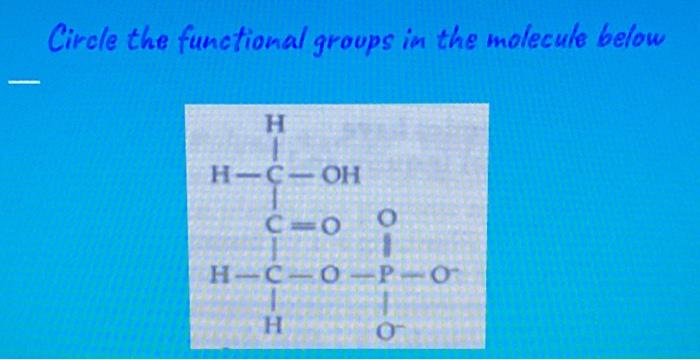 Solved Circle the functional groups in the molecule below H | Chegg.com