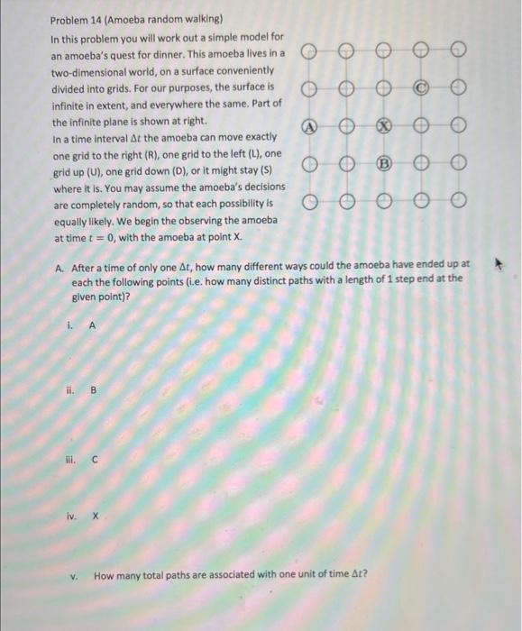 Problem 14 (Amoeba random walking)
In this problem you will work out a simple model for an amoebas quest for dinner. This am