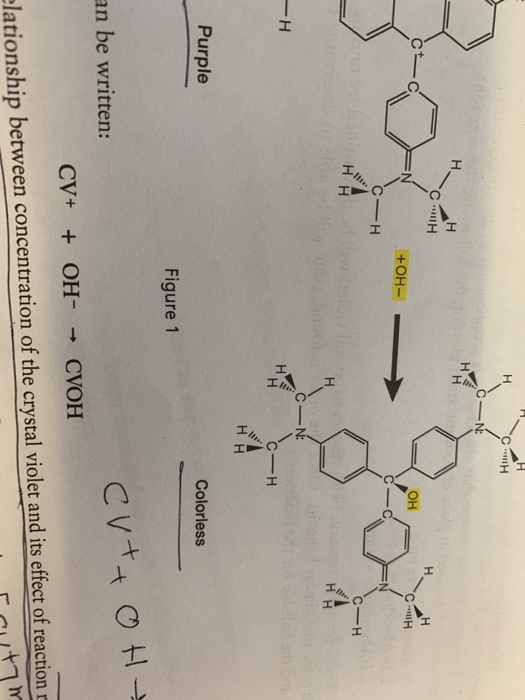 Solved Rate Law Determination of the Crystal Violet Reaction