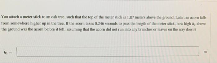 Solved You attach a meter stick to an oak tree, such that | Chegg.com